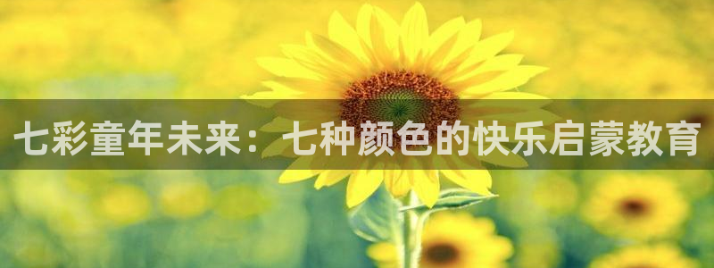 恒行娱乐5ll533主管正直：七彩童年未来：七种颜色的快乐启蒙教育