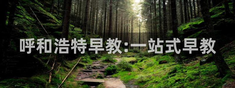 恒行开户娱乐赞议6ll5l:呼和浩特早教:一站式早教