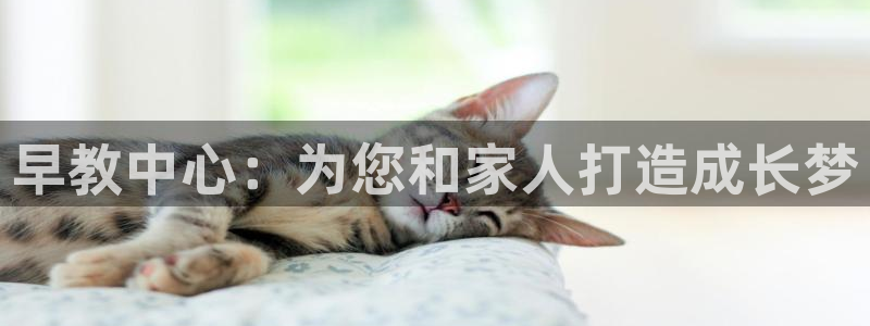 恒行2吕74OOO5：早教中心：为您和家人打造成长梦