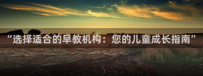 恒行娱乐河沂74ooo5程：“选择适合的早教机构：您的儿童成长指南”