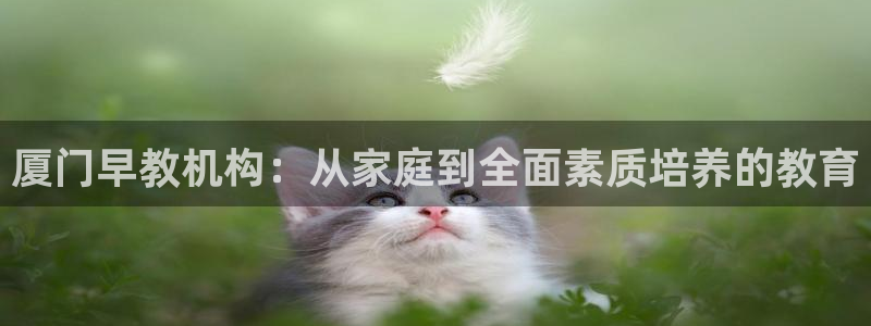 恒行娱乐卫74OOO5：厦门早教机构：从家庭到全面素质培养的教育