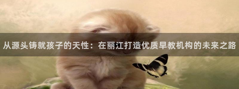 恒行代理总代主导 6ll5l:从源头铸就孩子的天性:在丽江打造优质早教机构的未来