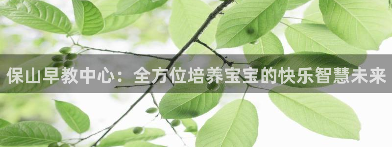 恒行娱乐吴74OOO5:保山早教中心:全方位培养宝宝的快乐智慧未来