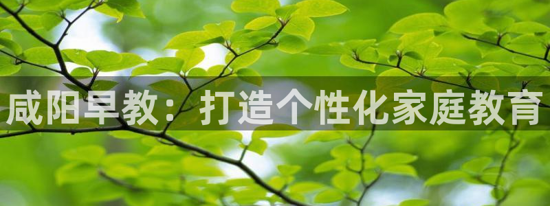 恒在5行中代表什么数字:咸阳早教:打造个性化家庭教育
