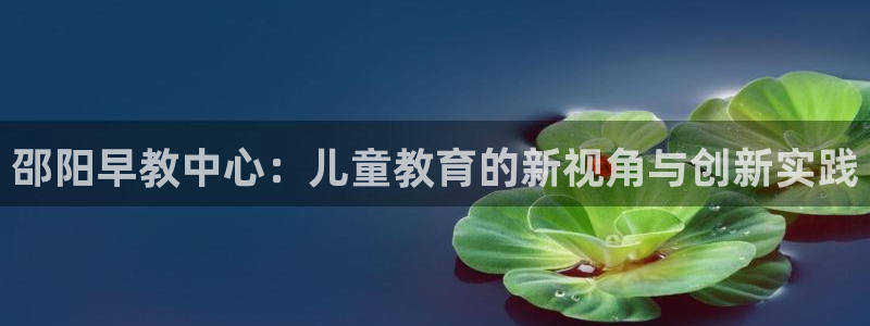 恒行2乃5O6917:邵阳早教中心:儿童教育的新视角与创新实践