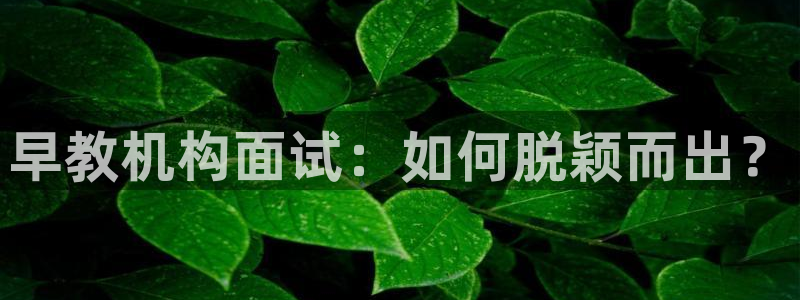 恒行娱乐5ll533主管正直:早教机构面试:如何脱颖而出?