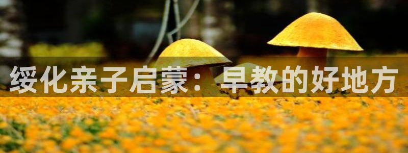 恒行娱乐登录信用 74ooo5:绥化亲子启蒙:早教的好地方