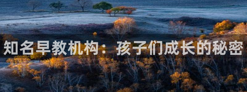 恒行娱乐登录5ll533主管一流:知名早教机构:孩子们成长的秘密