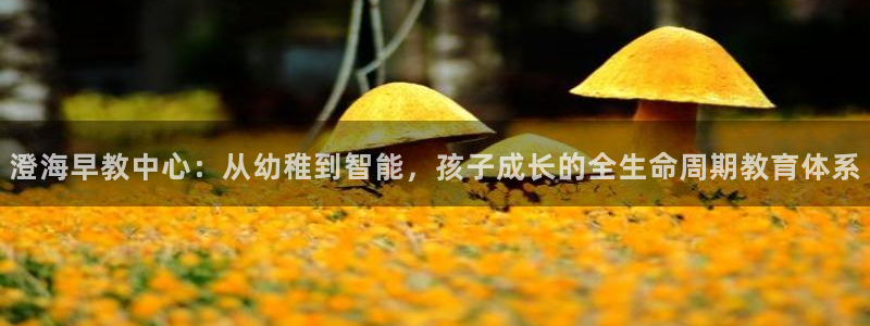 恒行娱乐寻问74 5:澄海早教中心:从幼稚到智能,孩子成长的全生命周期教育体系