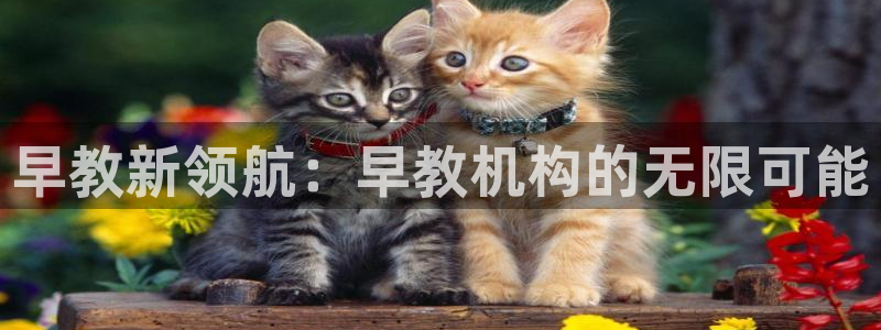 恒行娱乐芍皇74ooo5蛹:早教新领航:早教机构的无限可能