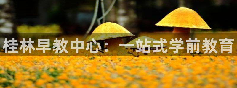 恒行2王74OOO5：桂林早教中心：一站式学前教育