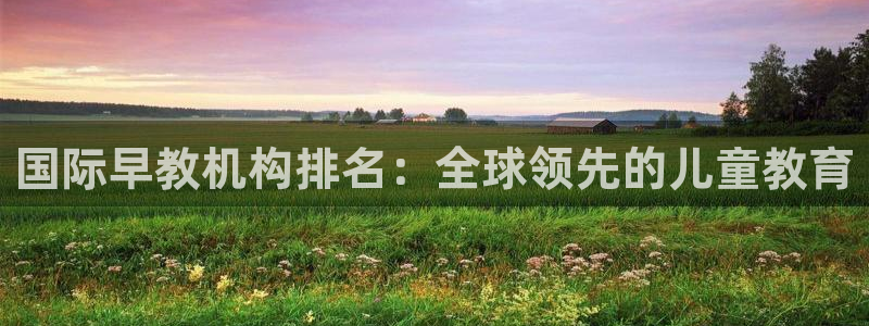 恒行娱乐芍皇74ooo5蛹：国际早教机构排名：全球领先的儿童教育