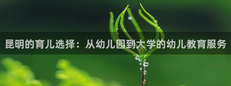 恒行2褚74OOO5：昆明的育儿选择：从幼儿园到大学的幼儿教育服务