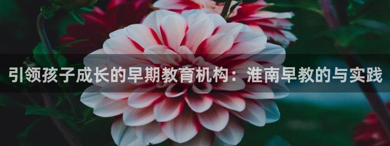 恒行2郑74OOO5：引领孩子成长的早期教育机构：淮南早教的与实践