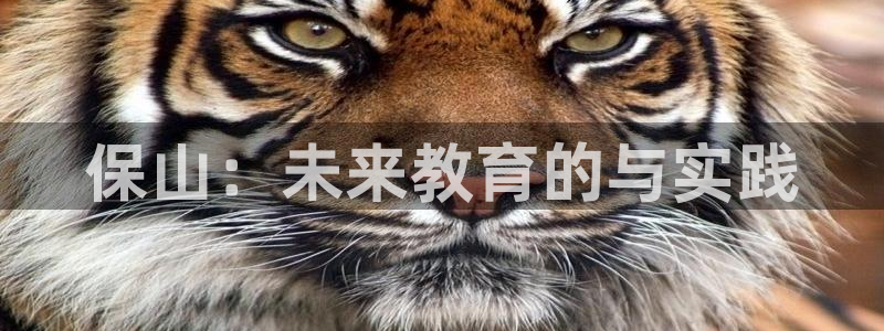 恒行娱乐热74ooo5主宰：保山：未来教育的与实践