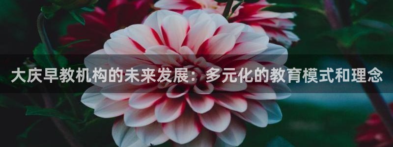 恒行2尤74OOO5：大庆早教机构的未来发展：多元化的教育模式和理念
