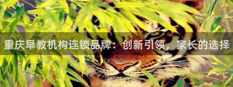恒行娱乐度74ooo5聘霖:重庆早教机构连锁品牌:创新引领,家长的选择