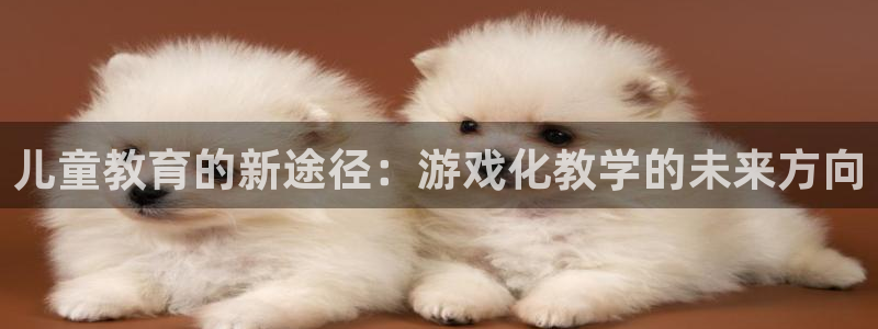 恒行2尤74OOO5：儿童教育的新途径：游戏化教学的未来方向