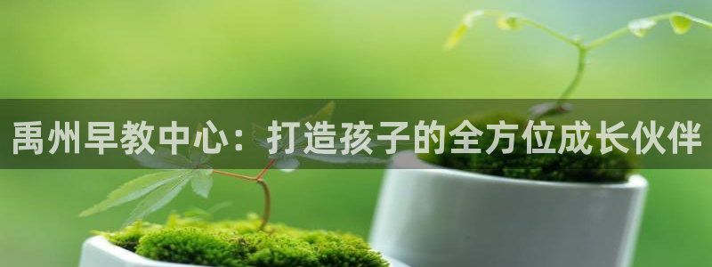 恒行主管6ll5l指定:禹州早教中心:打造孩子的全方位成长伙伴