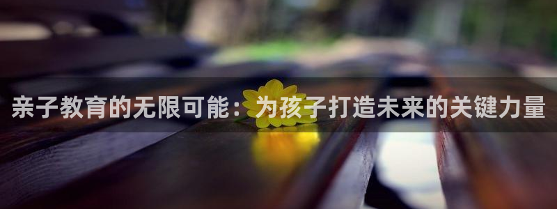 恒行2吕74OOO5:亲子教育的无限可能:为孩子打造未来的关键力量