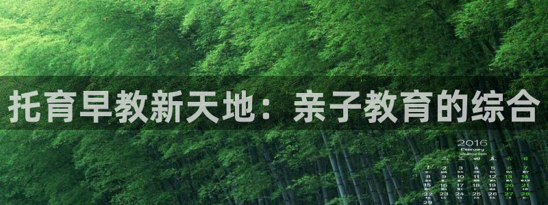 恒行娱乐5ll533主管优雅:托育早教新天地:亲子教育的综合