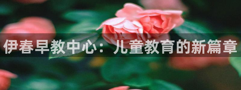 恒行2杨74OOO5：伊春早教中心：儿童教育的新篇章
