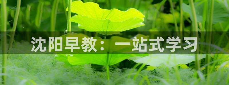恒行2卫74OOO5：沈阳早教：一站式学习