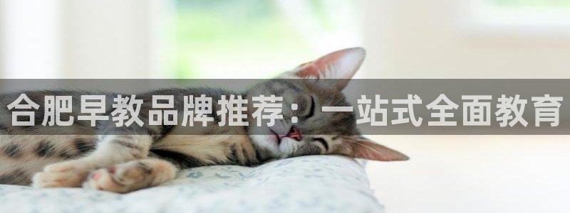 恒行2蒋74OOO5:合肥早教品牌推荐:一站式全面教育