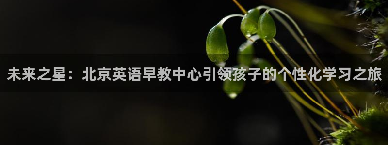 恒行2卫74OOO5:未来之星:北京英语早教中心引领孩子的个性化学习之旅