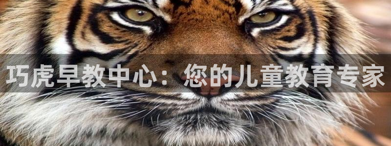 恒行娱乐芍皇74ooo5蛹：巧虎早教中心：您的儿童教育专家