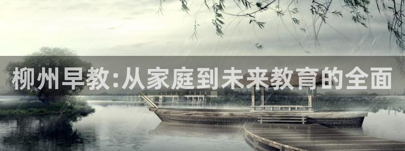 恒行代理总代主导 6ll5l:柳州早教:从家庭到未来教育的全面